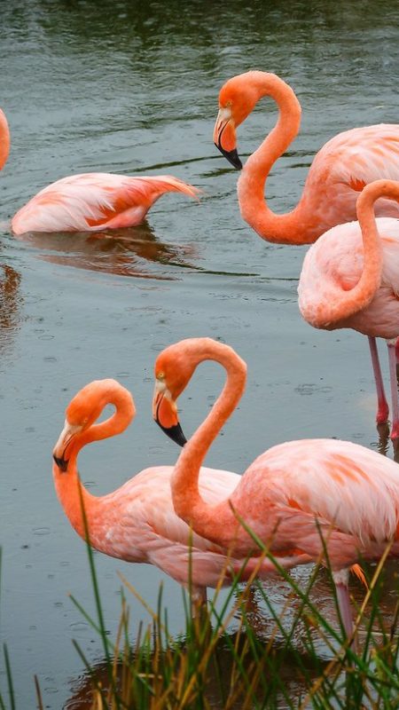 tour-11-17197b037ad851f6c4e546df20c3efcc